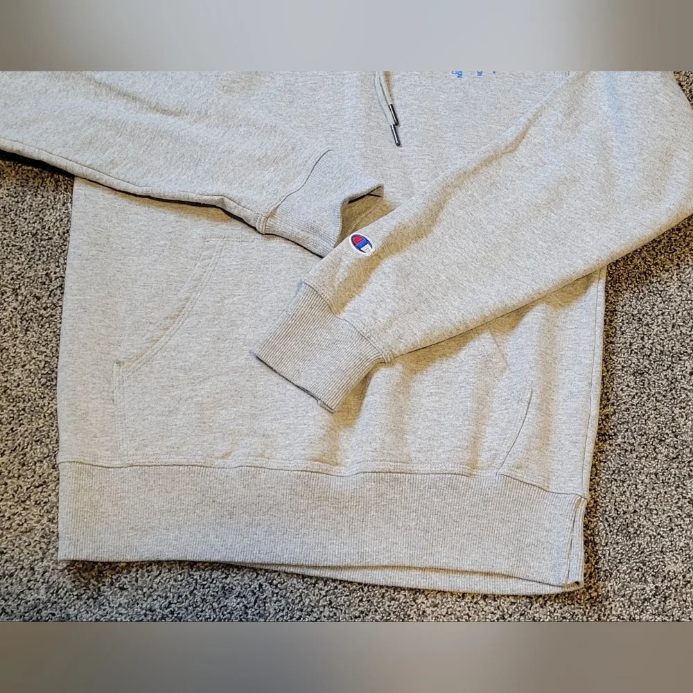 champion shop hooded pullover sweatshirt, unisex, size youth XLG/ adult sm, gray - Picture 6 of 8